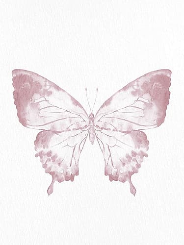 Pressed Butterfly 1 Art Print