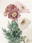 Vintage Flower Art Print