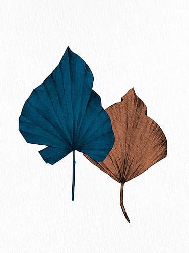 Blue Fan 1 Nature Print