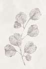 Spotted Botanical 3 Art Print