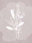 Floral Sketch 2 Art Print