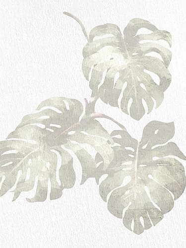 Neutral Palm 2 Nature Print