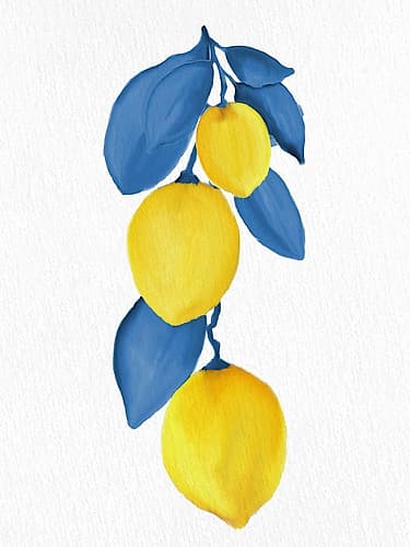 Lemon Vine 1 Art Print