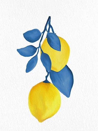 Lemon Vine 2 Art Print