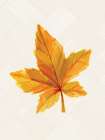 Fall Leaves 1 Art Print