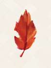 Fall Leaves 2 Botanical Print