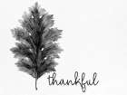 Thankful Black and White Art Print
