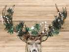 Woodland Deer Art Print