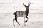 Into The Forest 2 Deer Art Print