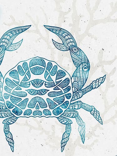 Sea Creature 3 Art Print