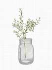 Jar Herbs 1 Art Print