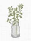 Jar Herbs 2 Art Print