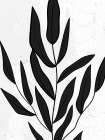Plaster Leaves 2 Art Print