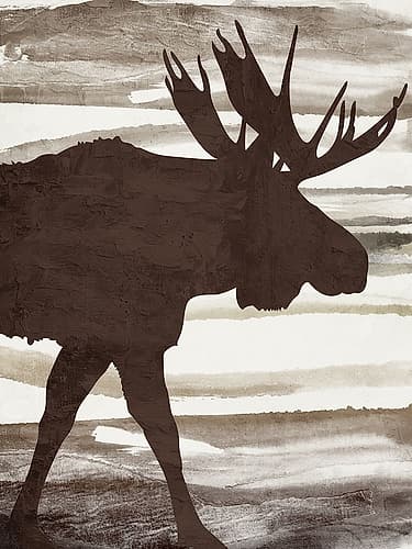 Moose 1 Art Print by Kimberly Allen