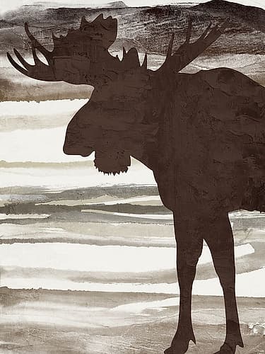 Moose 2 Art Print