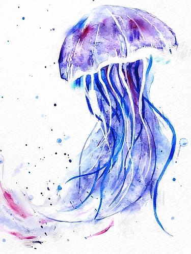 Jelly Jelly Art Print