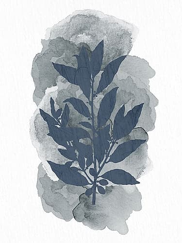 Leaf Silhouette 1 Nature Print