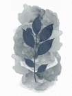 Leaf Silhouette 2 Art Print