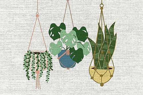 Burlap Hanging Plants Art Print