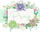Succulent Sentiment 1 Art Print
