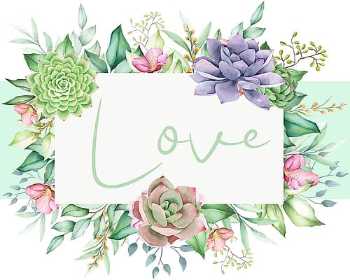 Succulent Sentiment 2 Art Print