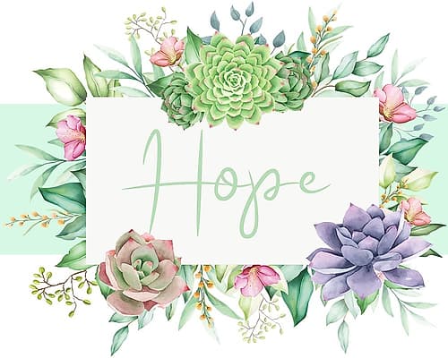 Succulent Sentiment 3 Art Print