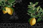 Lemon Drop Kitchen Print