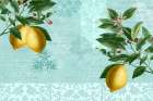Lemon Drop Kitchen Print