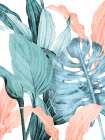 Coral Palms 1 Art Print