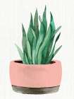 Planted 1 Botanical Print