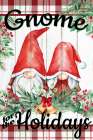 Gnome for the Holidays Art Print