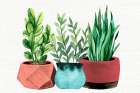 Summer Pots Art Print