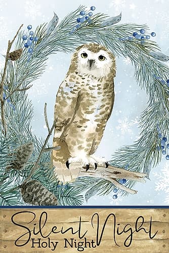 Winter Owl Art Print