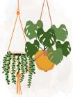 Hanging Plants Botanical Print