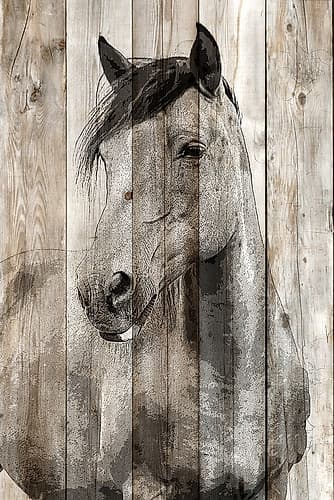 Young 1 Art Print