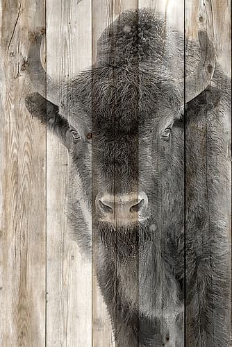 Young 2 Art Print