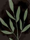 Bold Leaves 1 Botanical Print