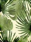 Jungle Palms 1 Botanical Print