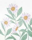 Daisies Floral Art Print
