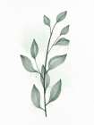 Minimal Greens 2 Art Print