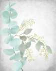 Eucalyptus and Leaves 2 Botanical Print