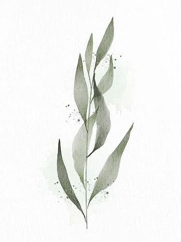 Minimal Greens 3 Nature Print