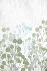 Garden Greens 2 Botanical Print