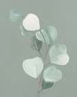 Soft Greens 2 Botanical Print