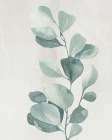 Soft Greens 3 Botanical Print