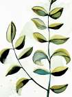 Greenery 1 Botanical Print
