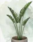 House Plant 2 Botanical Print