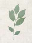 Linen Branches 2 Botanical Print