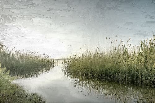Marsh Landscape Print