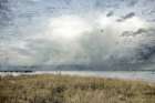 Moody Beach Day Art Print